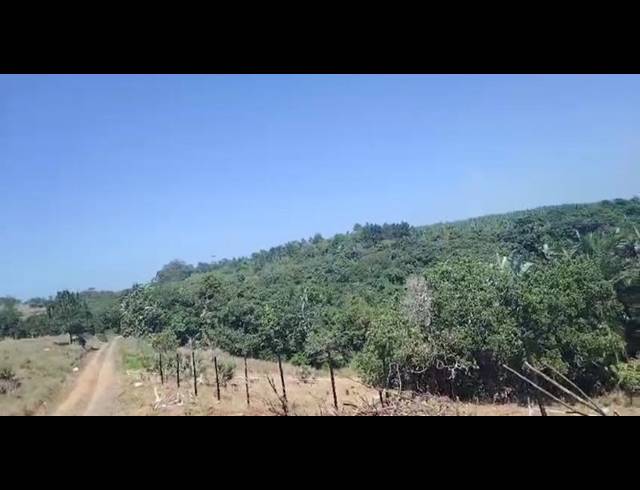 LAND FOR SALE IN PALM BEACH